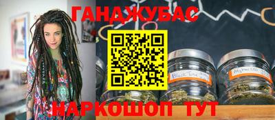 крисы Моздок