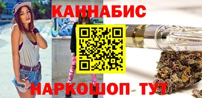 крисы Моздок