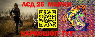 крисы Моздок