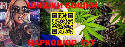 крисы Моздок