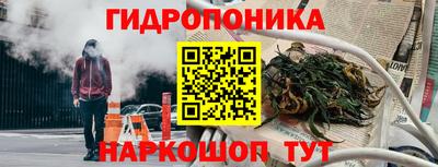 крисы Моздок